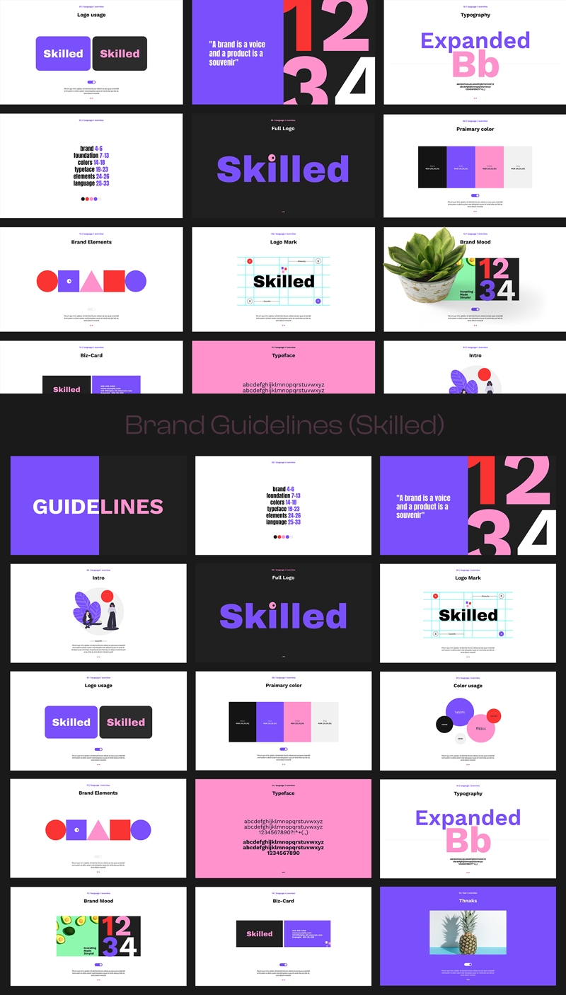 Skilled Brand Guidelines With Color full Layout