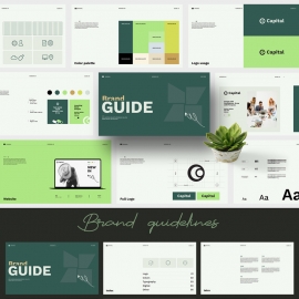 Capital Brand Guidelines Layout