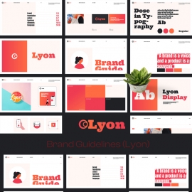Lyon Brand Guidelines With Color full Layout