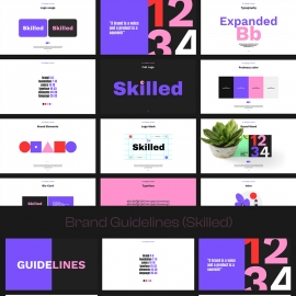 Skilled Brand Guidelines With Color full Layout